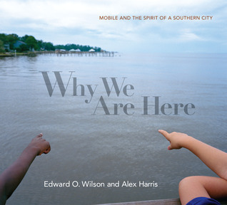 Why We Are Here book cover