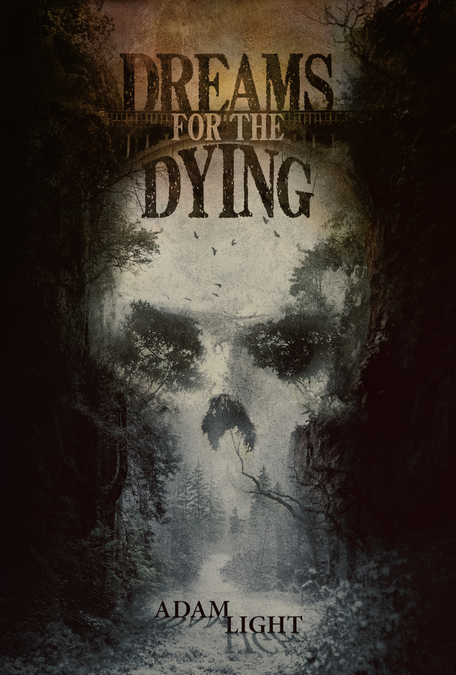 Dreams for the Dying book cover