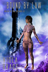 Bound By Law book cover