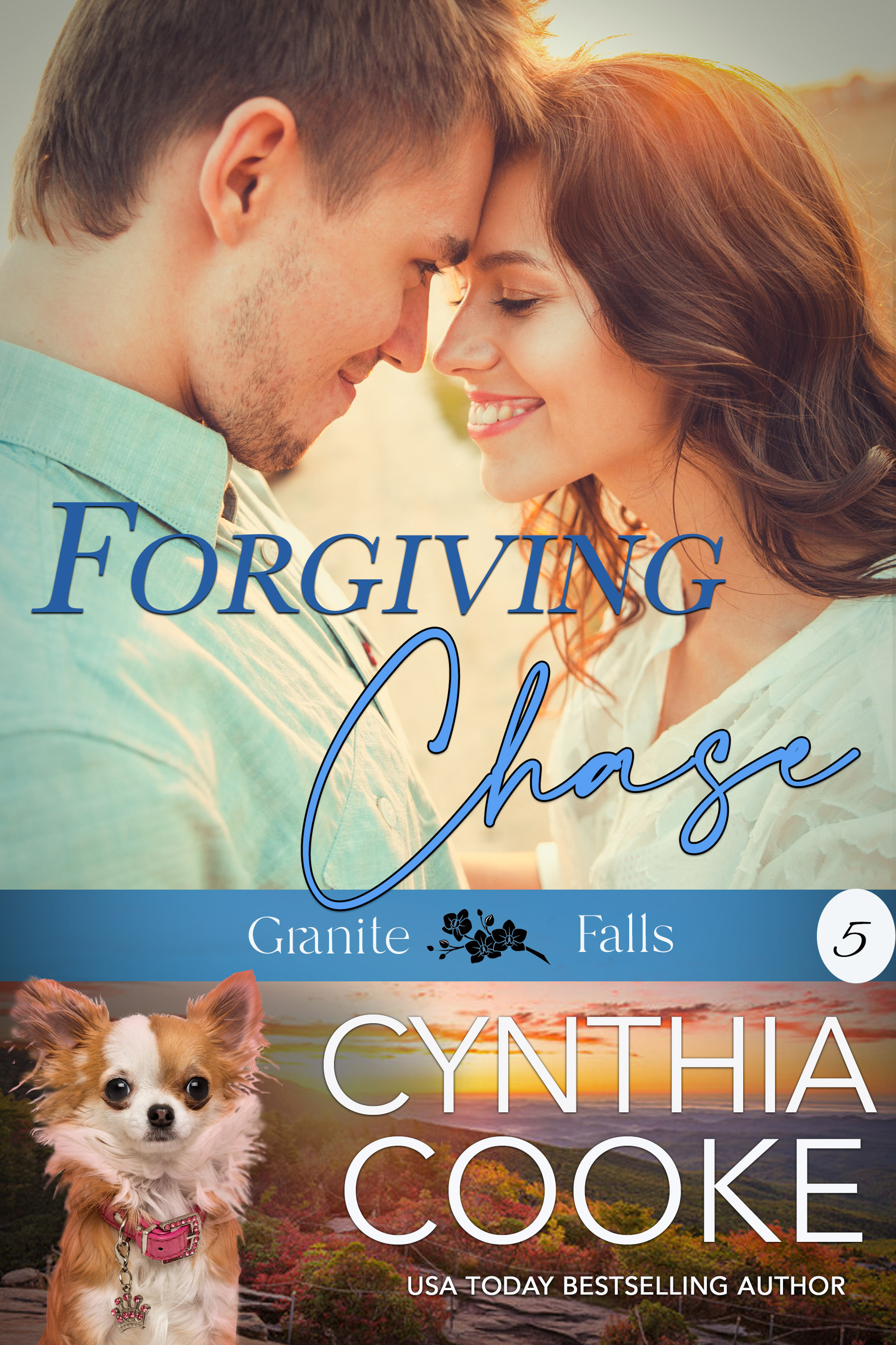 Forgiving Chase book cover
