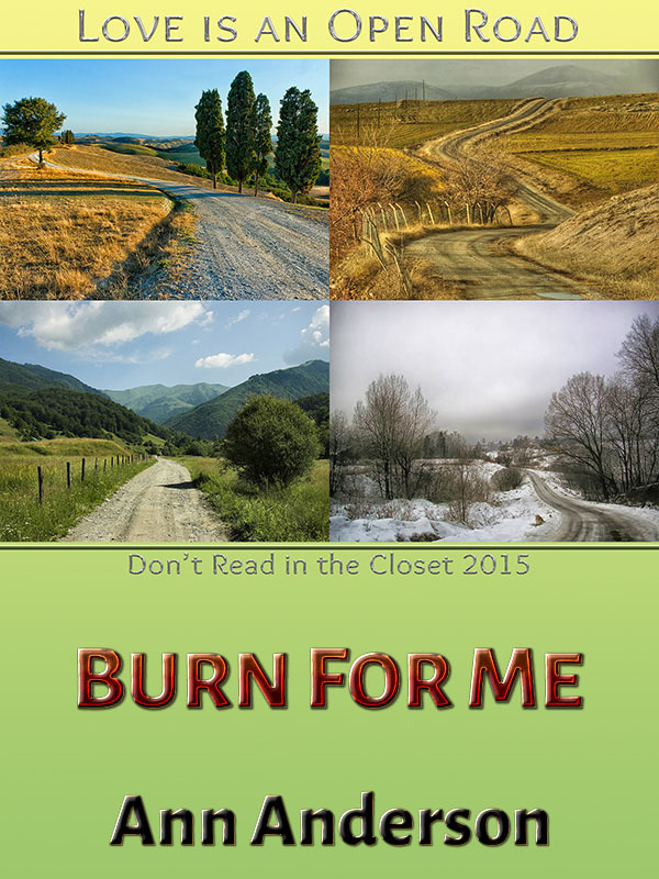 Burn For Me book cover