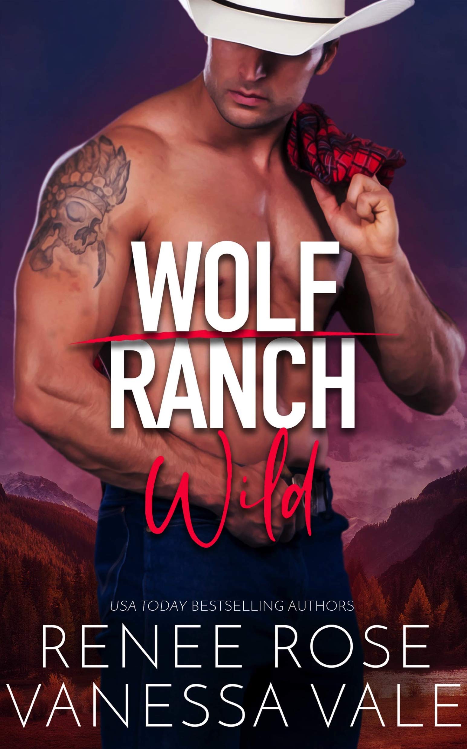 Wolf Ranch book cover 2