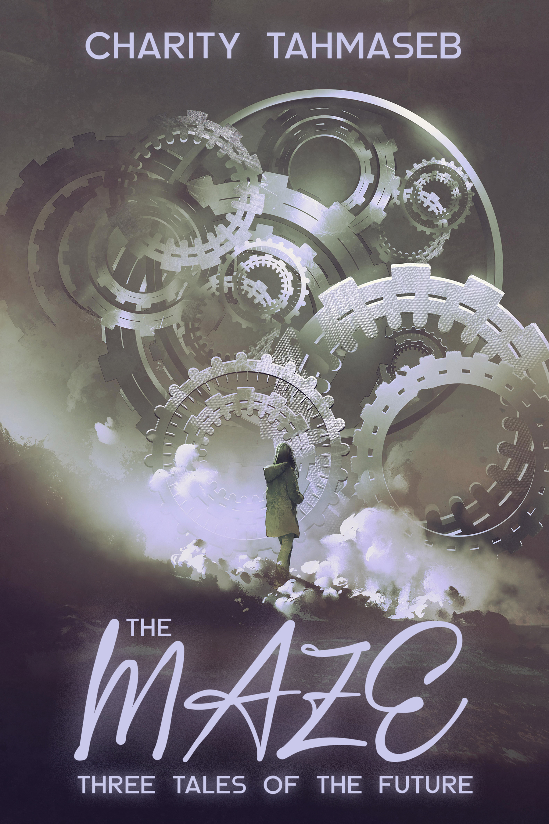 The Maze book cover