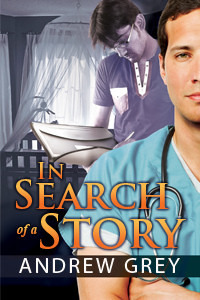 In Search of a Story book cover