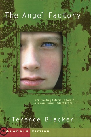 The Angel Factory book cover