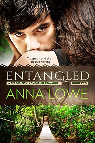 Serendipity Adventure Romance book cover 2