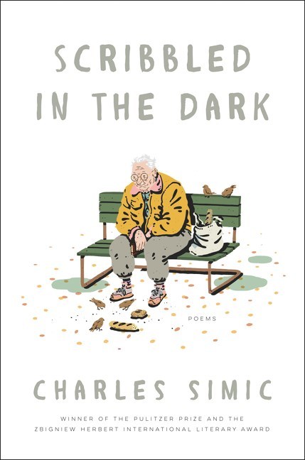 Scribbled in the Dark book cover