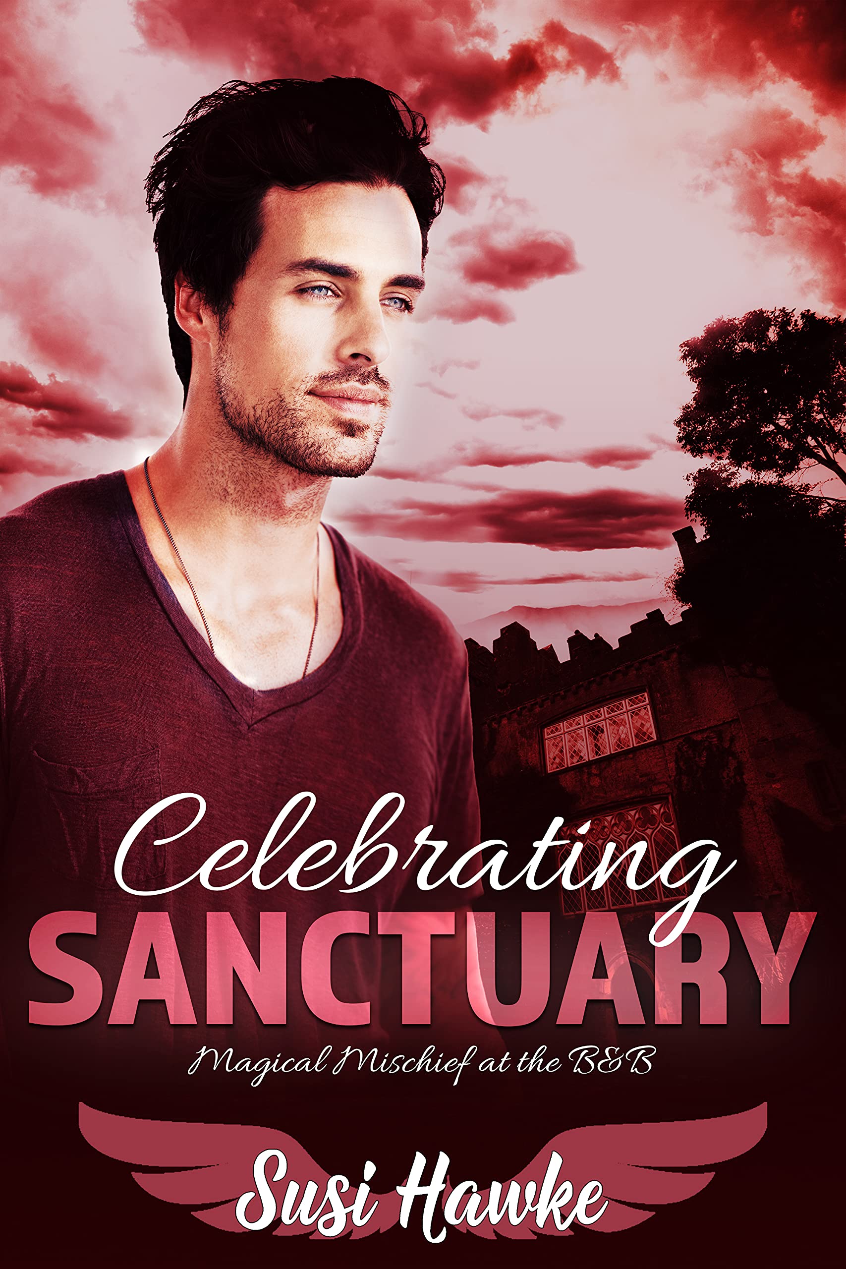 Celebrating Sanctuary book cover