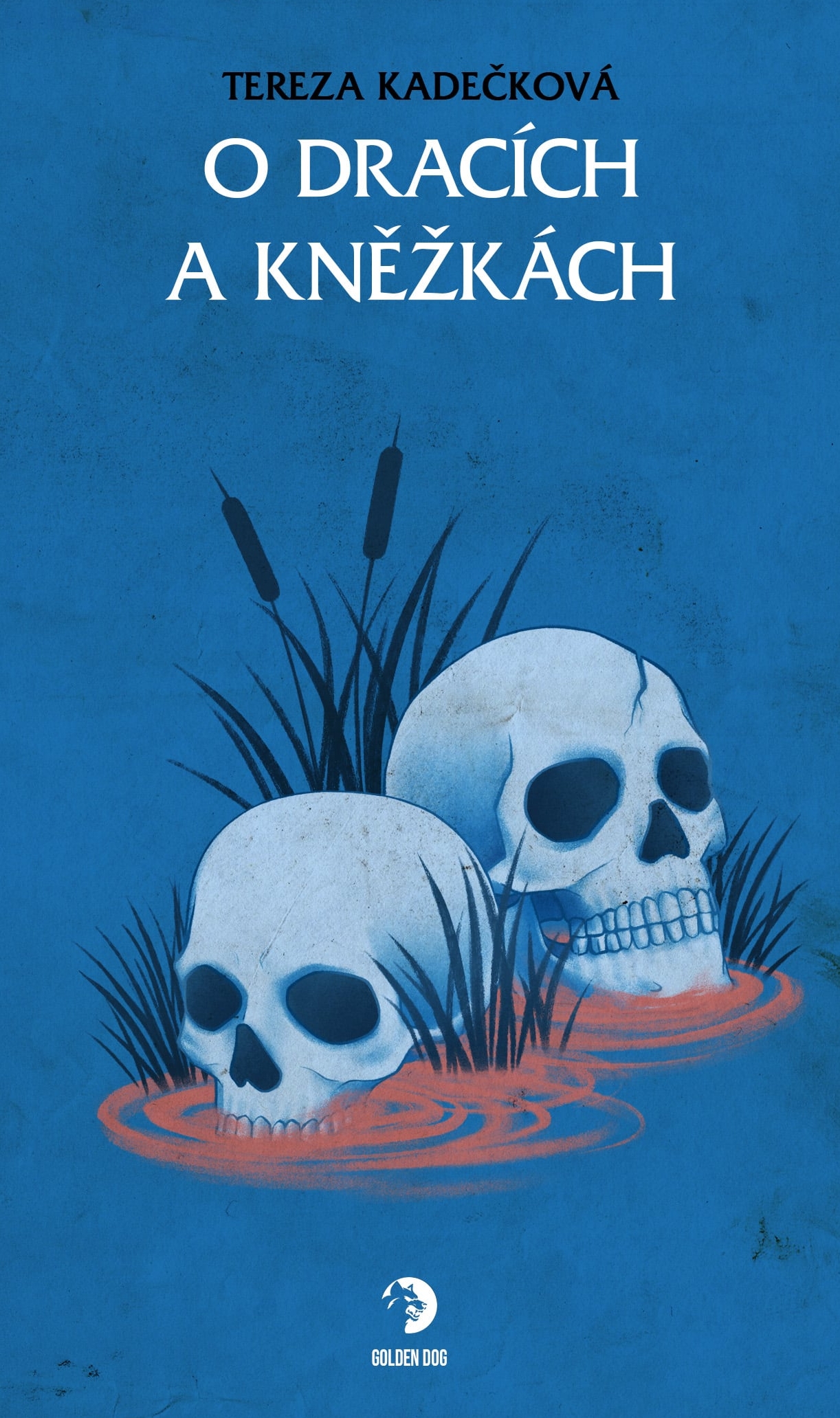 O dracích a kněžkách book cover