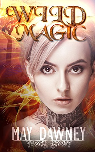 The Veil Chronicles book cover 1