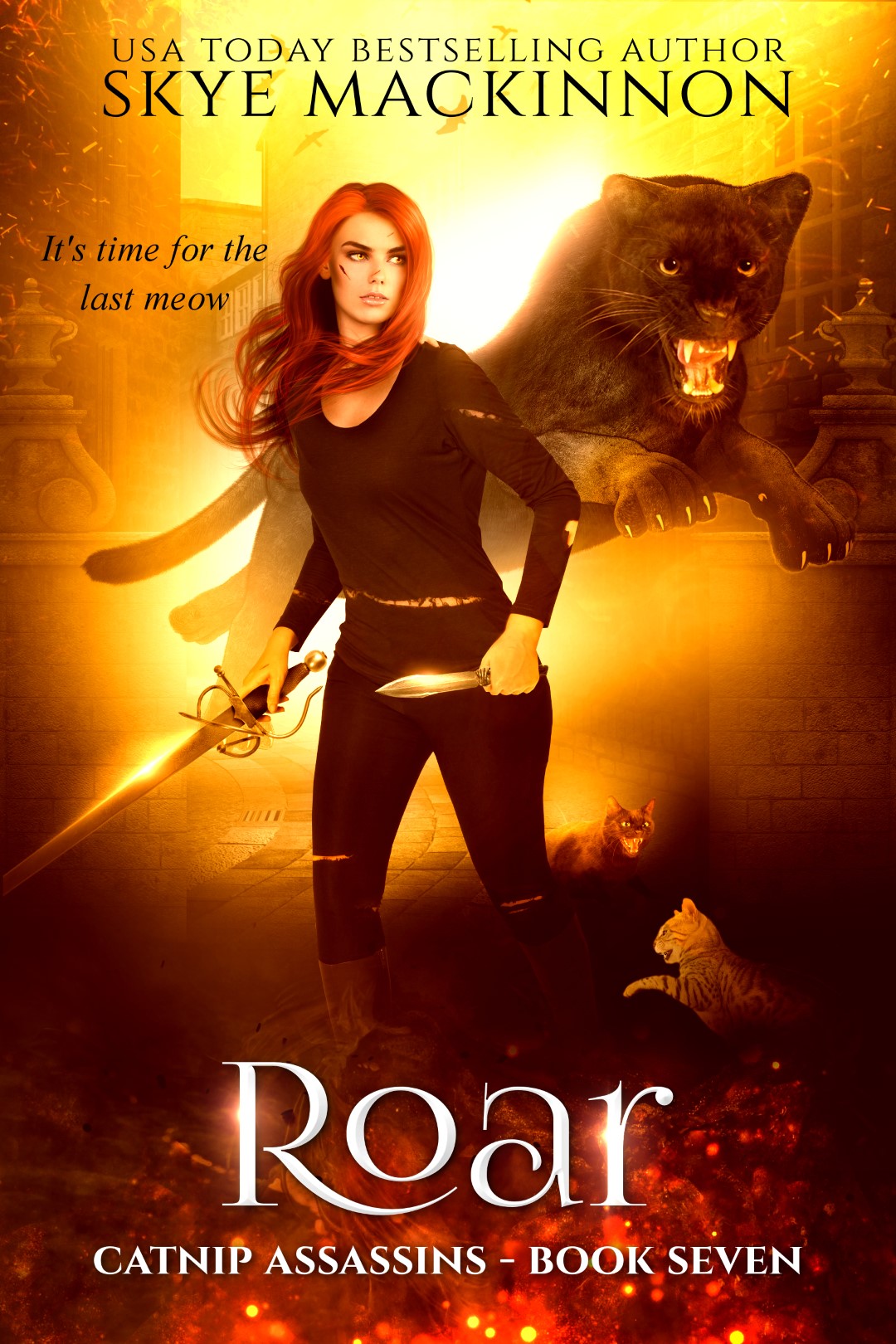 Roar book cover