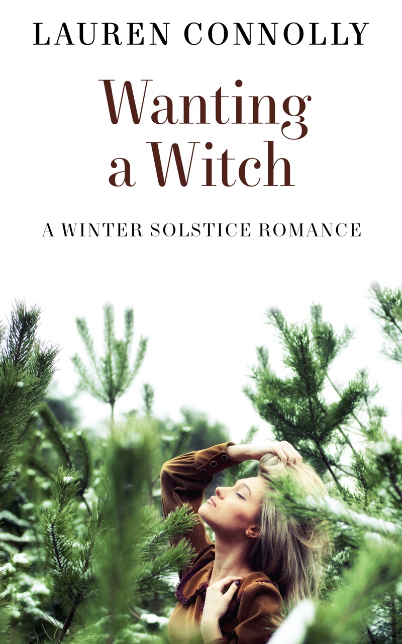 Seasonal Magic book cover 3