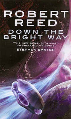 Down the Bright Way book cover