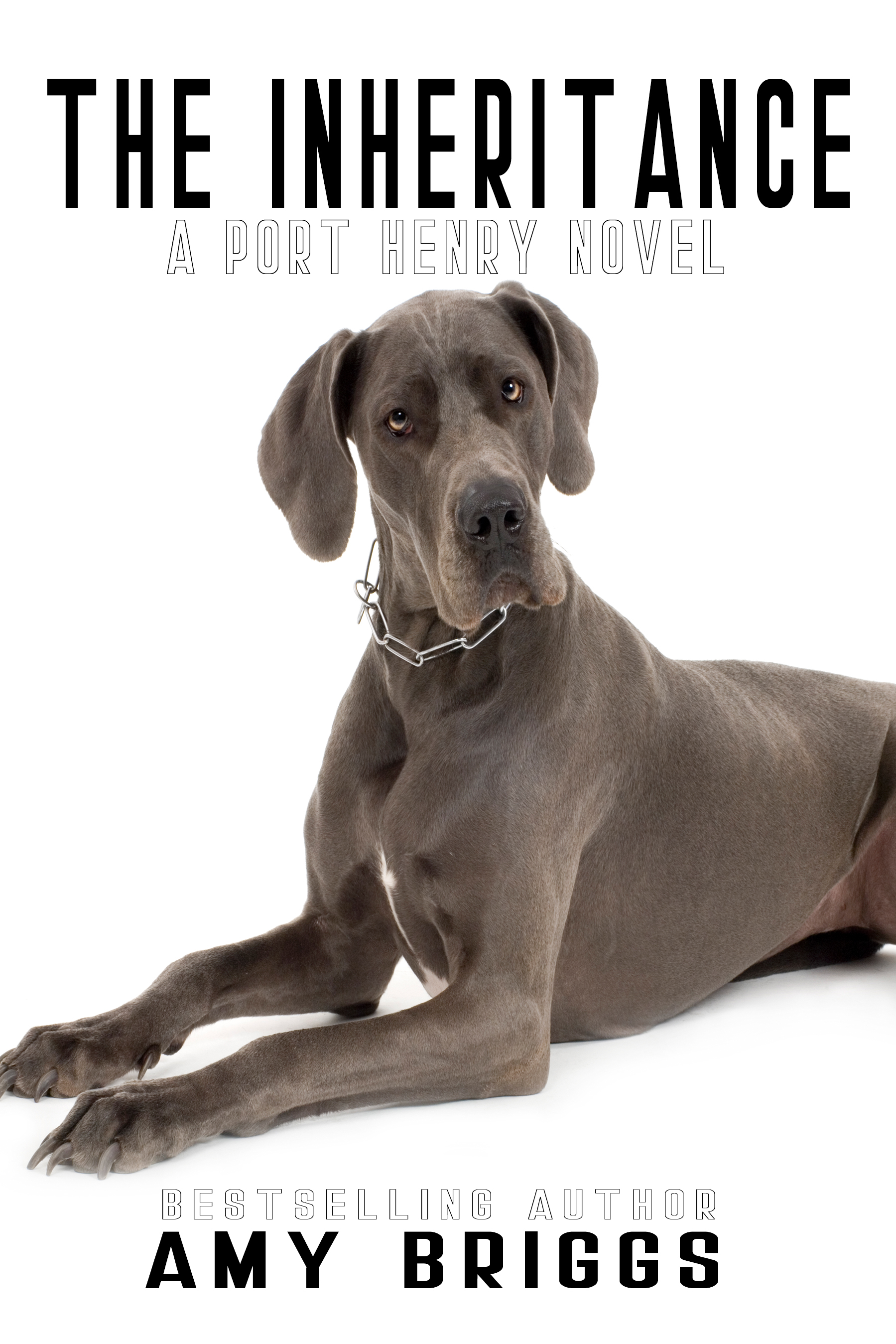 The Inheritance book cover
