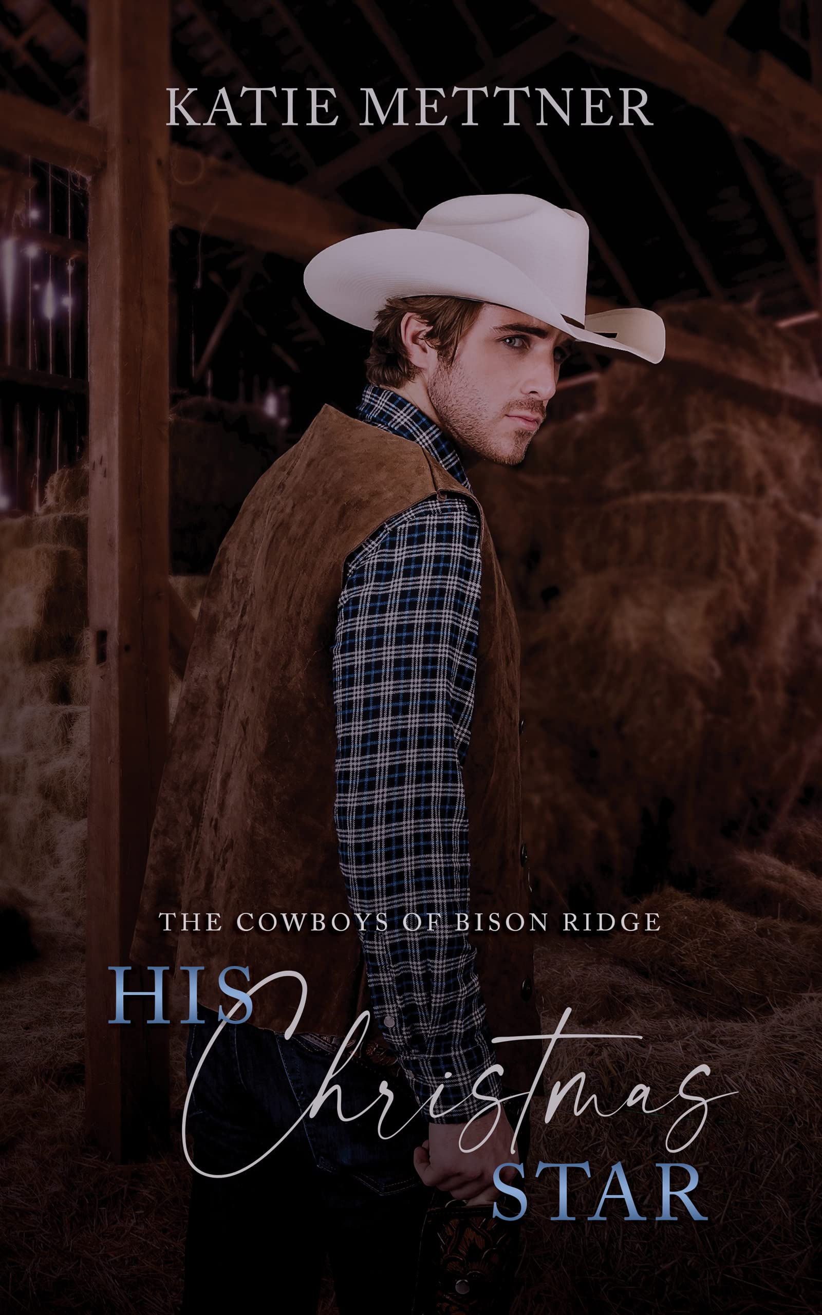 The Cowboys of Bison Ridge book cover 3