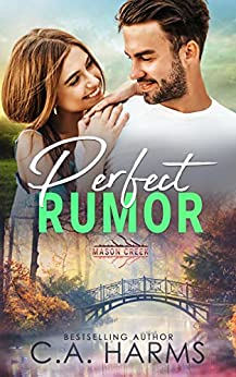 Perfect Rumor book cover