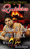 Adam and Evil book cover
