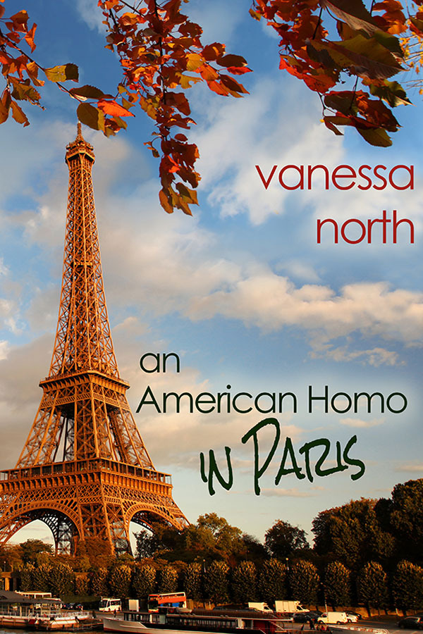 An American Homo in Paris book cover