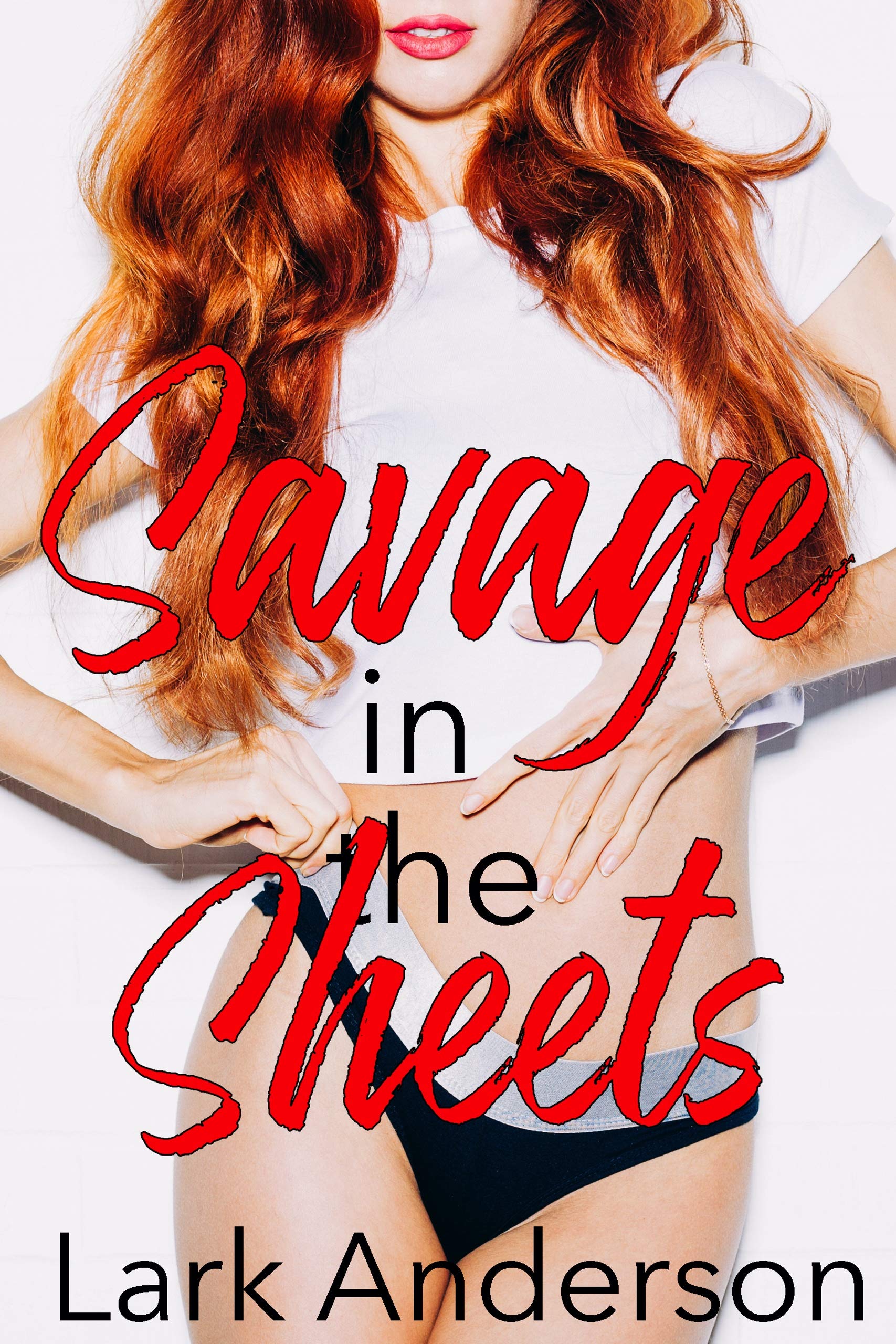 Savage in the Sheets book cover