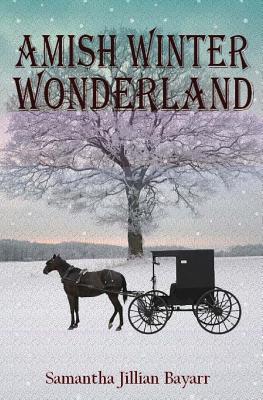 Amish Winter Wonderland book cover