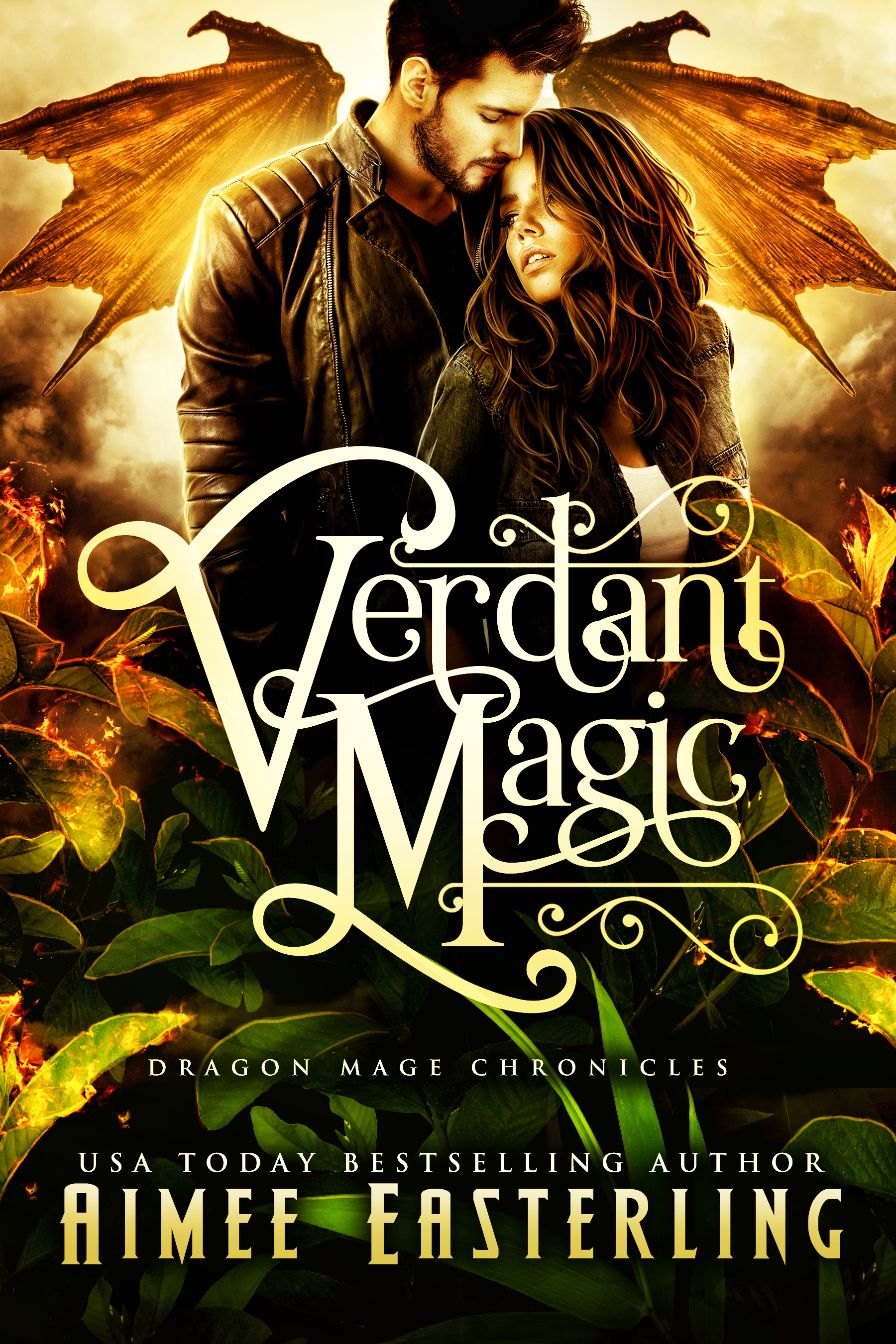 Dragon Mage Chronicles book cover 1