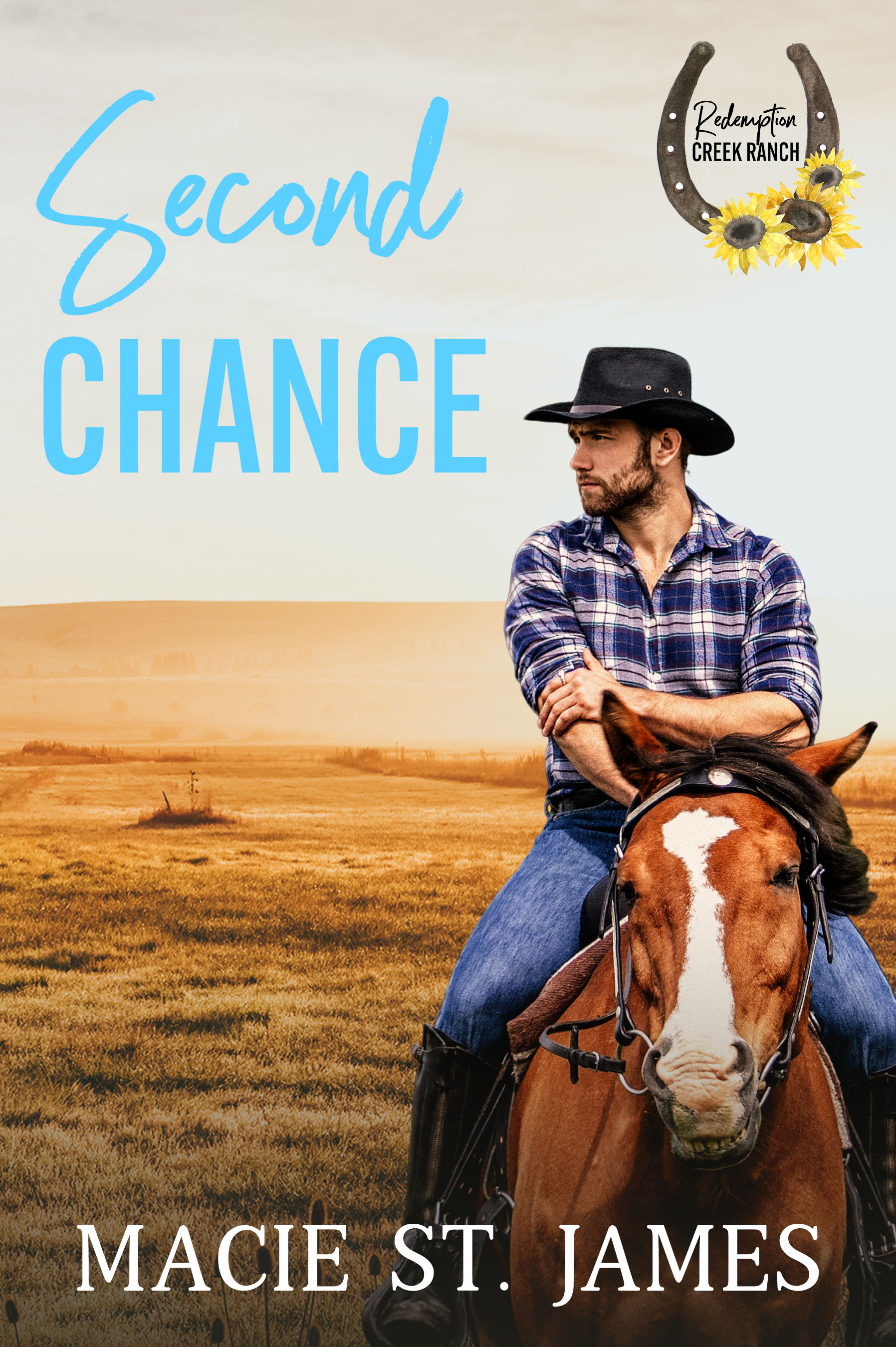 Second Chance at Redemption Creek Ranch book cover
