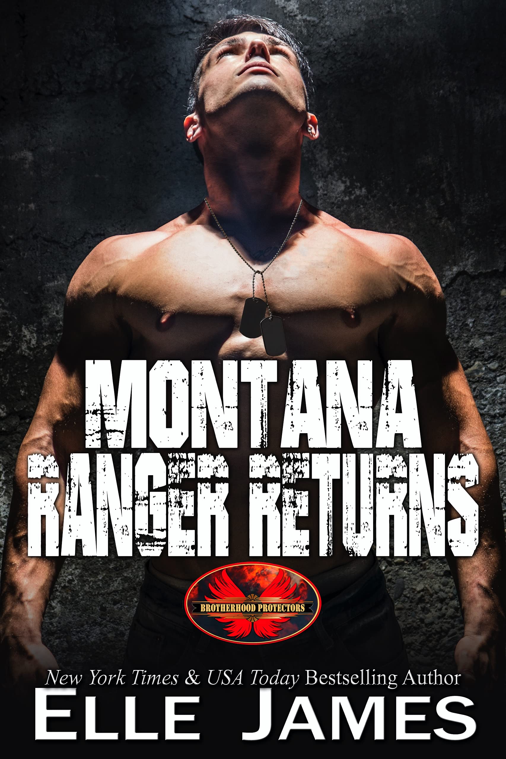 Montana Ranger Returns book cover