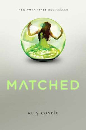 Matched book cover 1