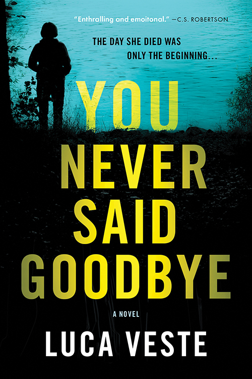 You Never Said Goodbye book cover