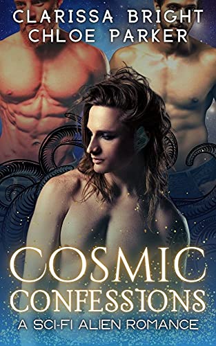 Falling Star book cover 2