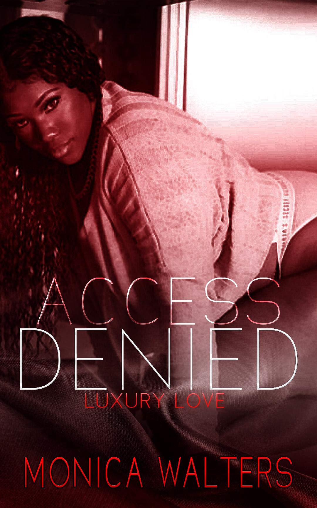 Access Denied book cover