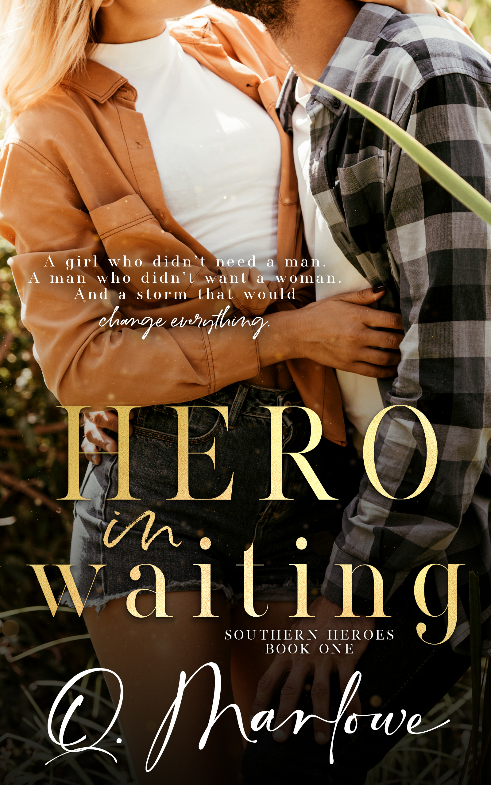 Southern Heroes book cover 1