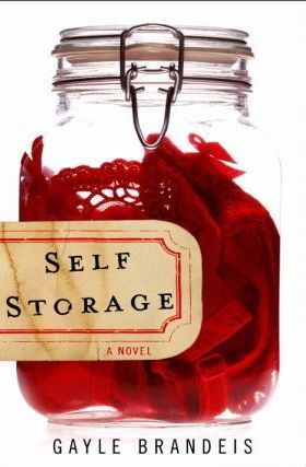 Self Storage book cover