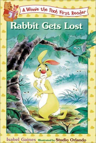 Rabbit Gets Lost book cover