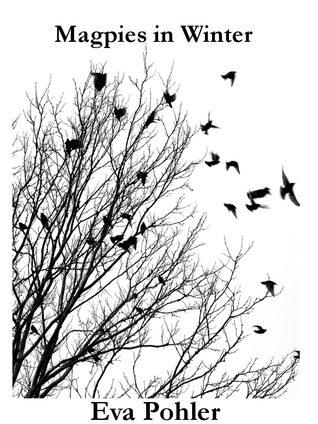 Magpies in Winter book cover