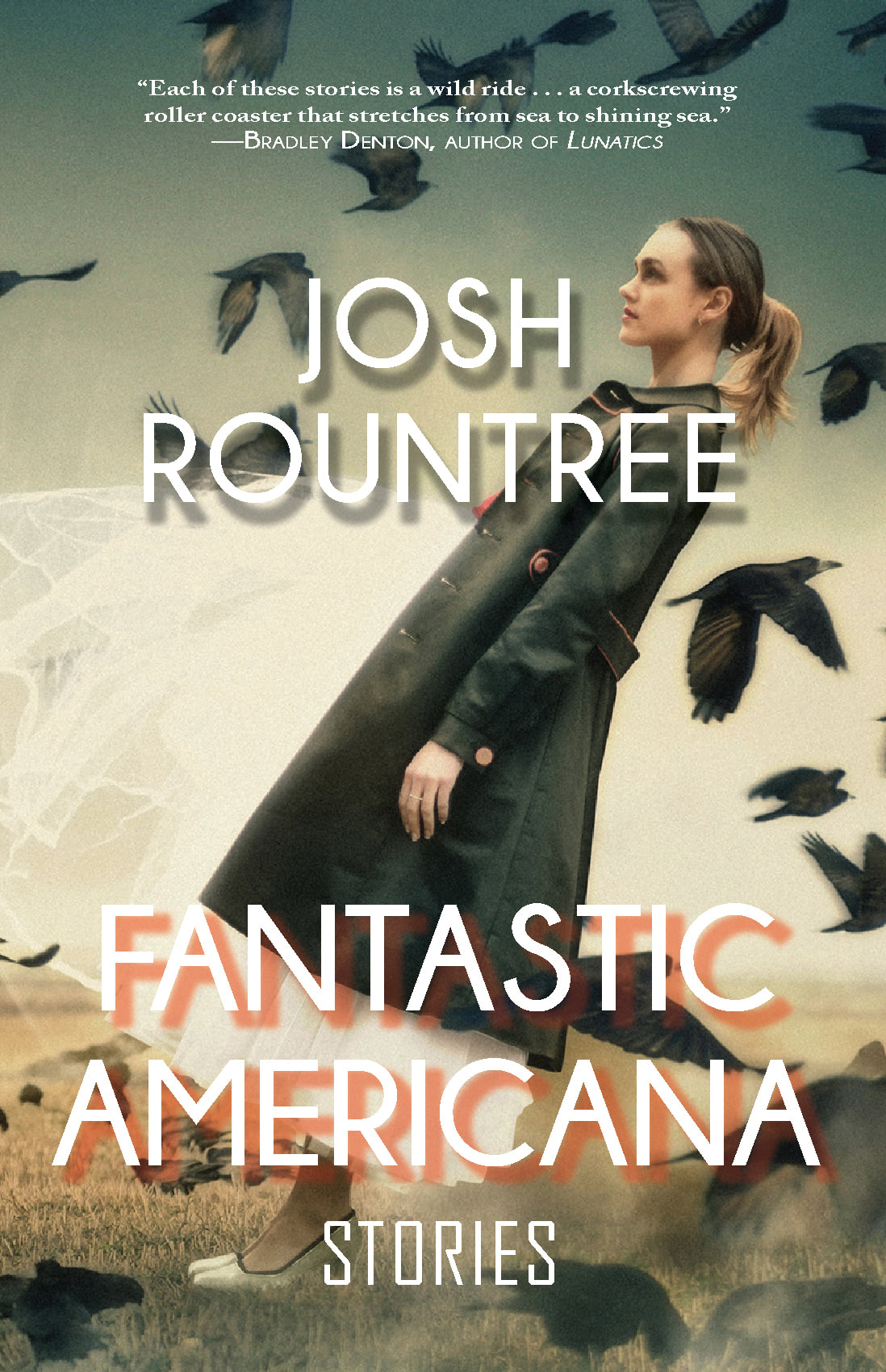 Fantastic Americana book cover