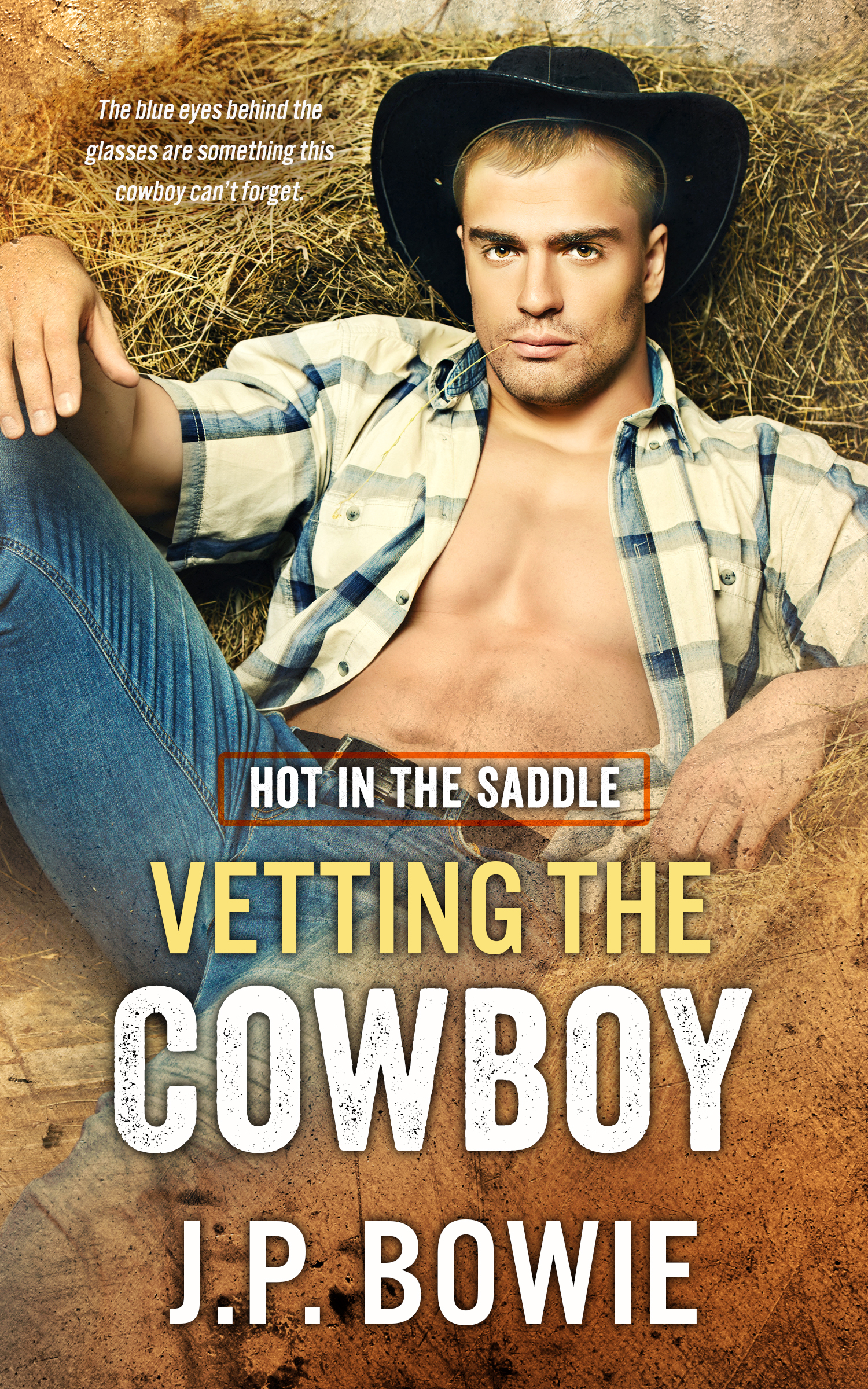 Hot in the Saddle book cover 1