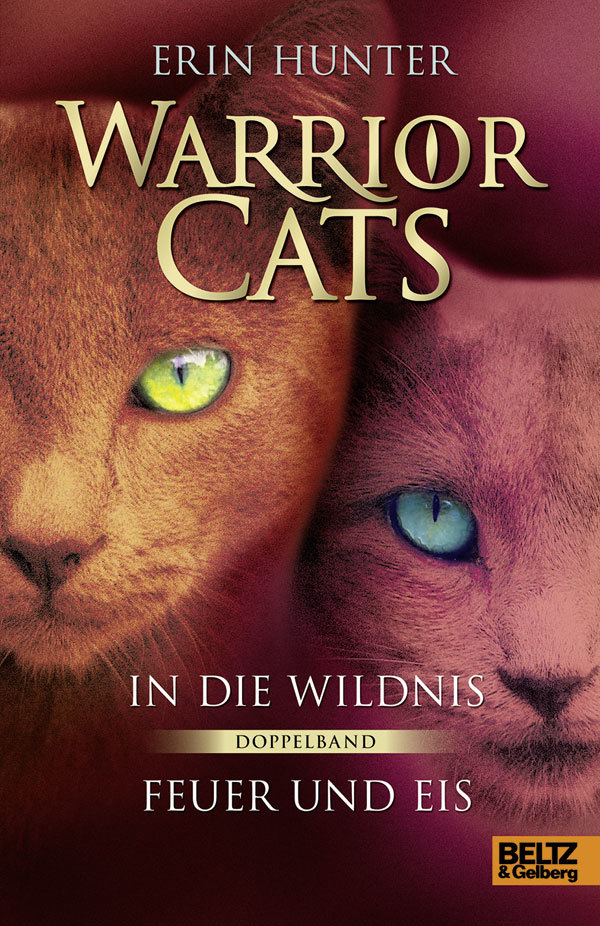 In die Wildnis / Feuer und Eis book cover