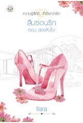 สืบซ่อนรัก book cover 1