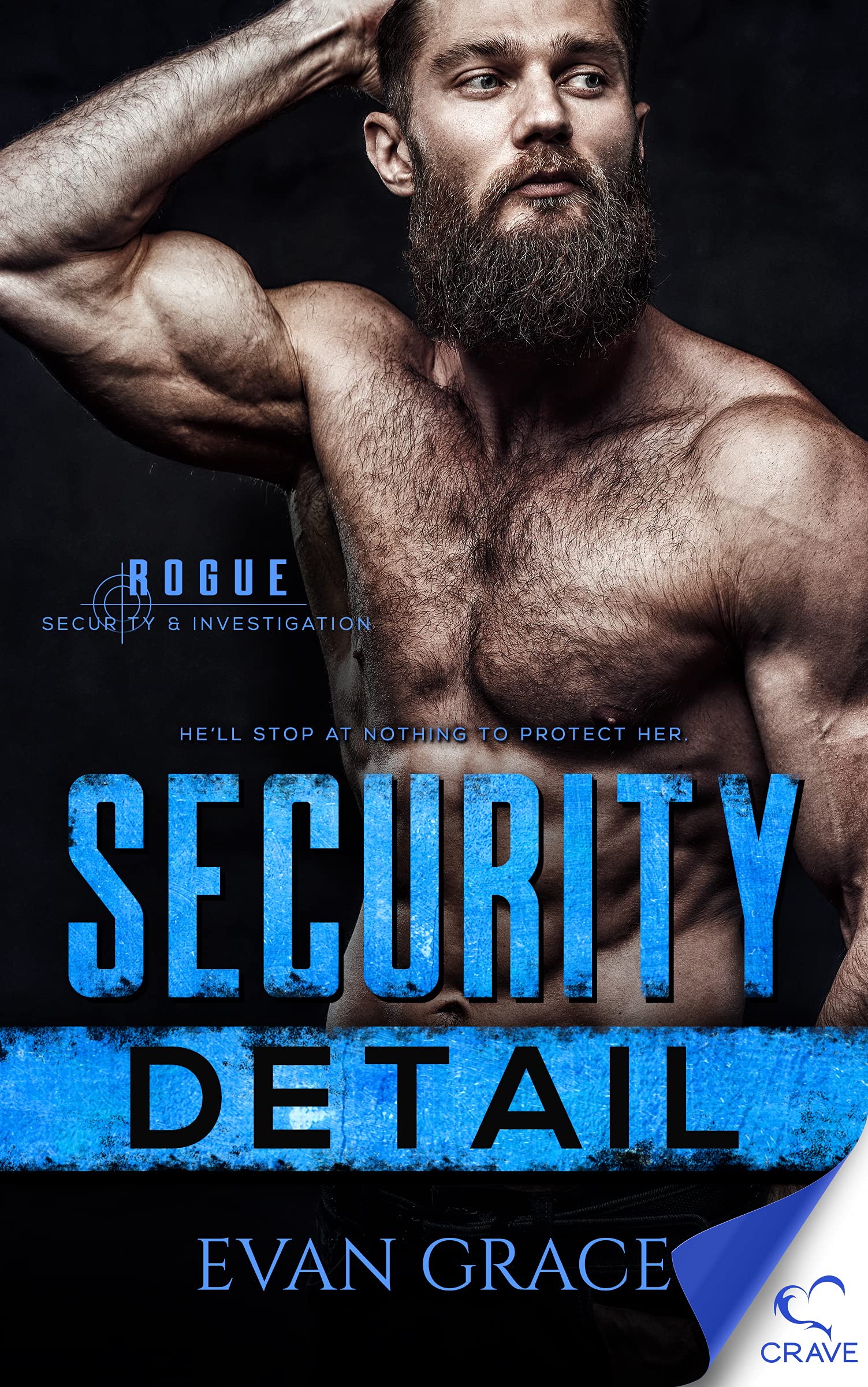 Security Detail book cover
