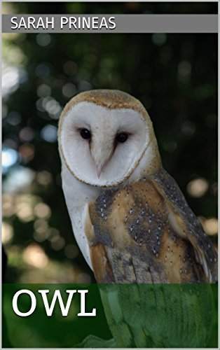 OWL book cover
