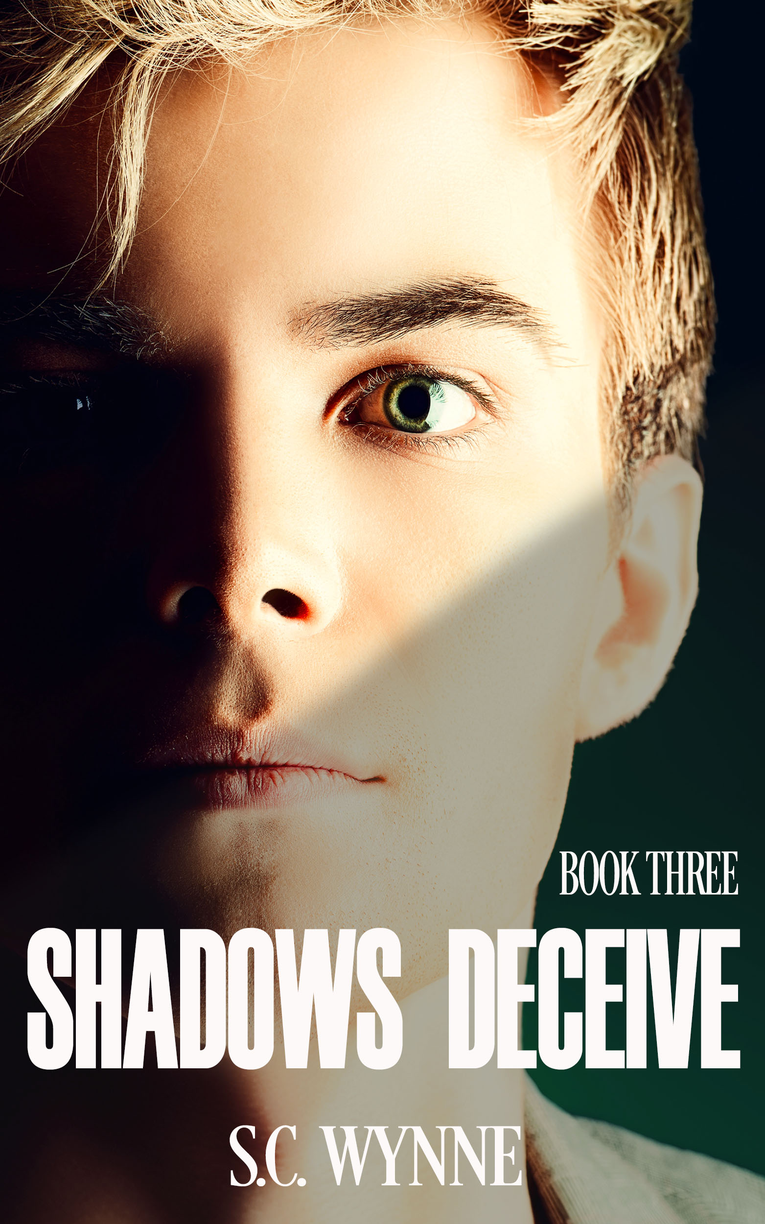 Psychic Detective Mysteries book cover 3