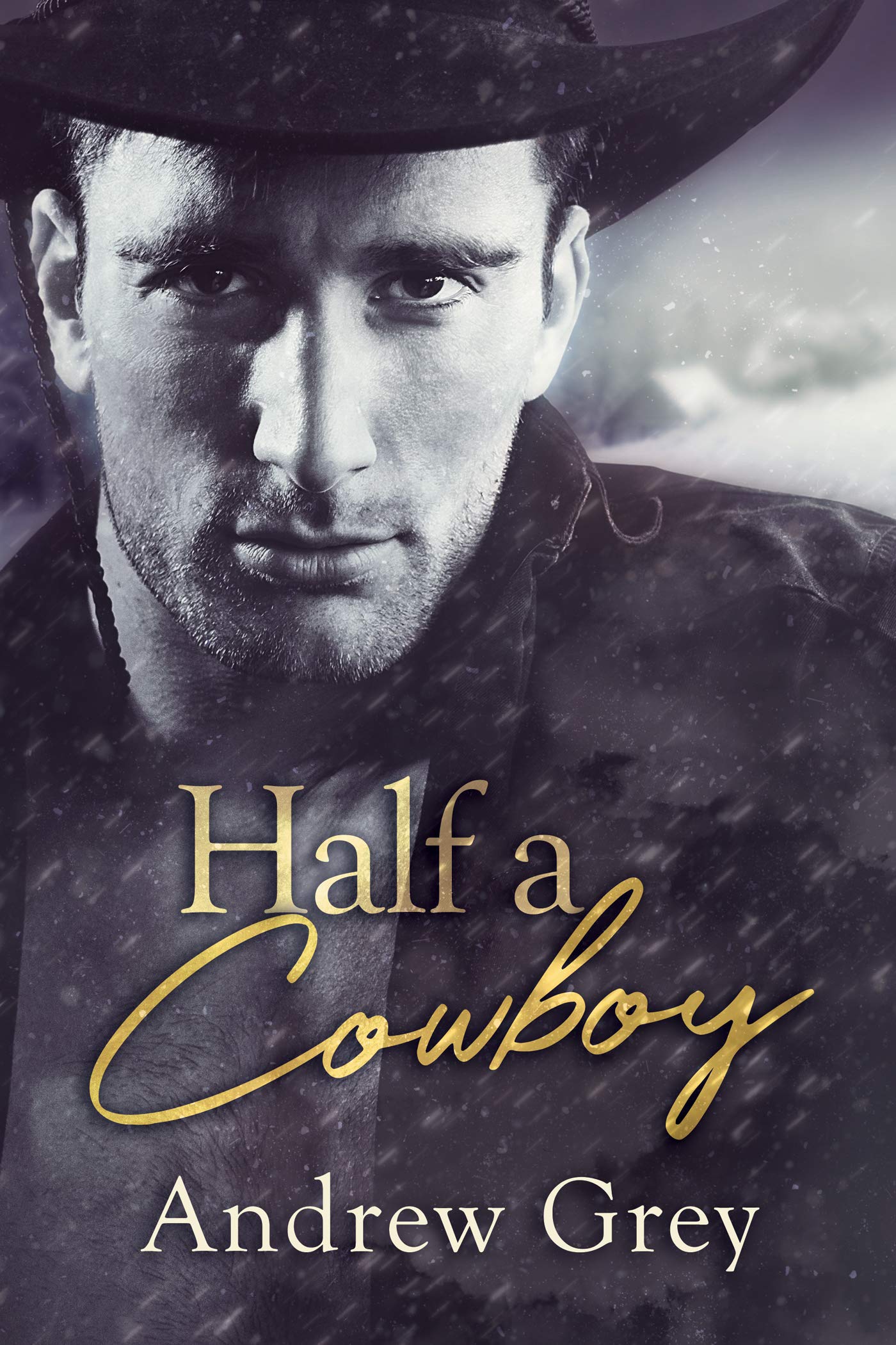 Half a Cowboy book cover