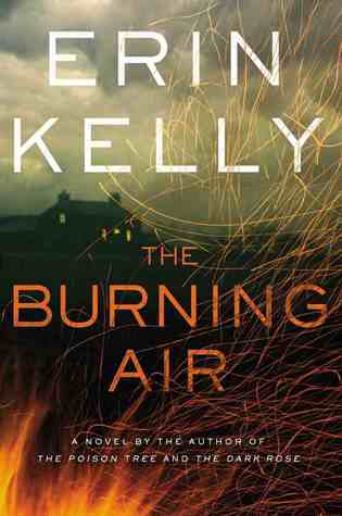 The Burning Air book cover
