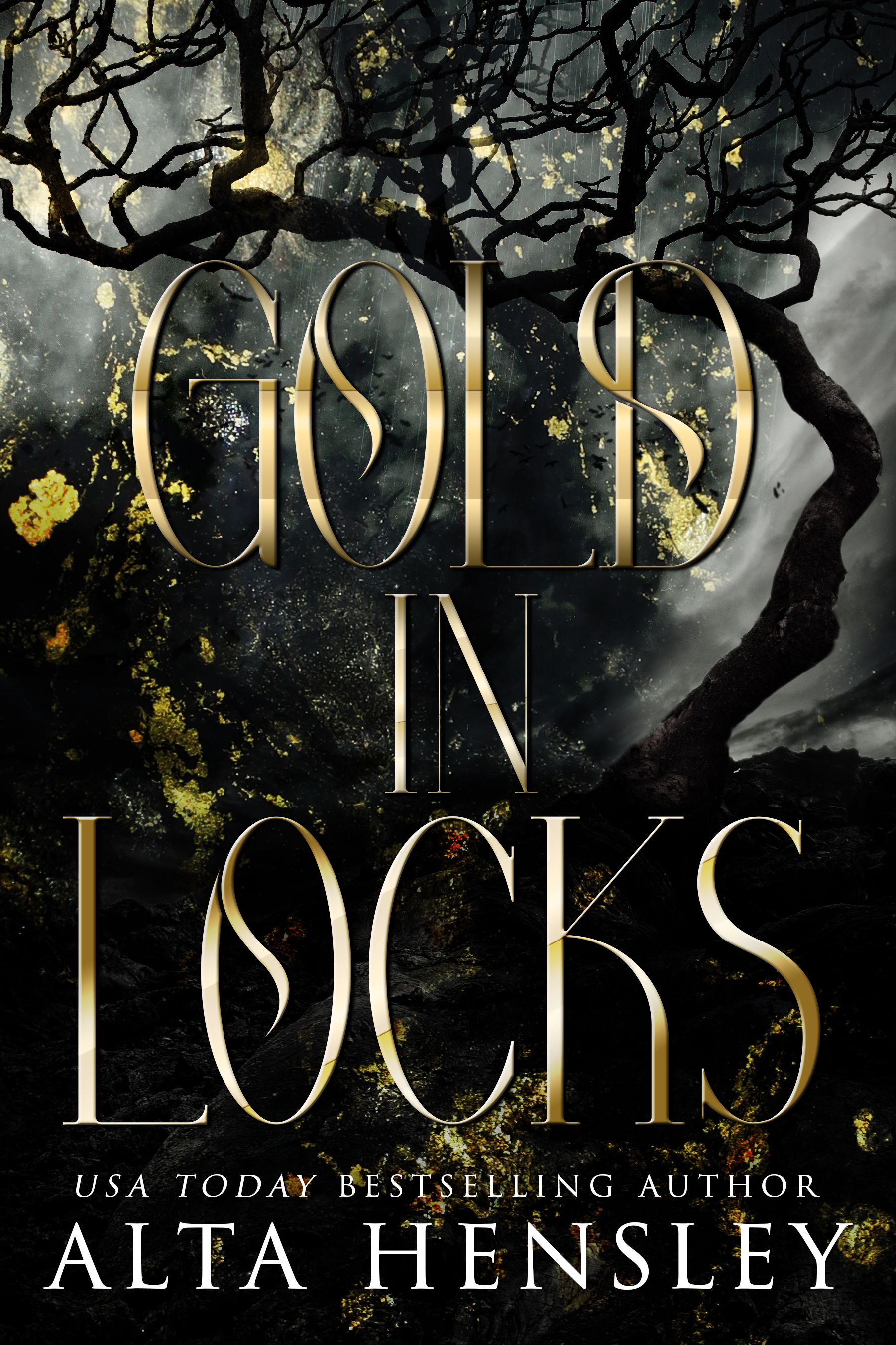 Gold In Locks book cover