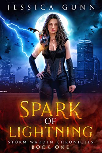 Storm Warden Chronicles book cover 1