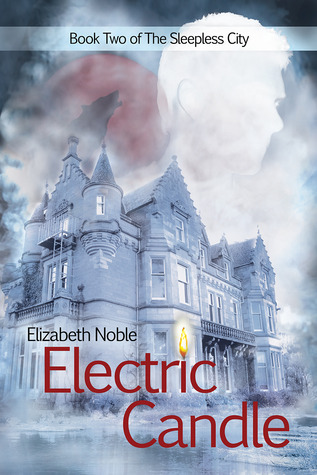 The Sleepless City book cover 2