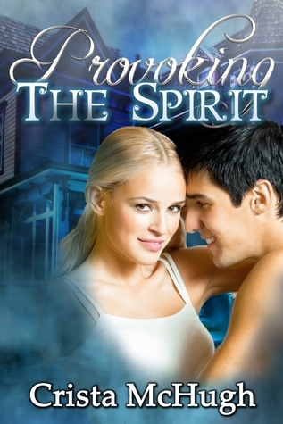 Provoking the Spirit book cover