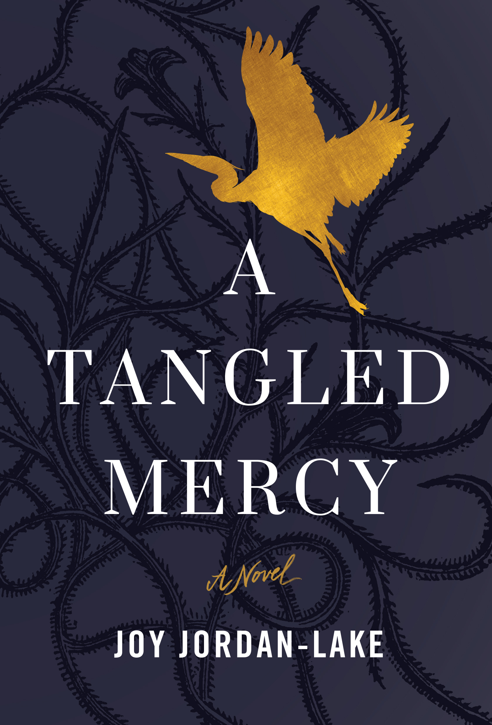 A Tangled Mercy book cover