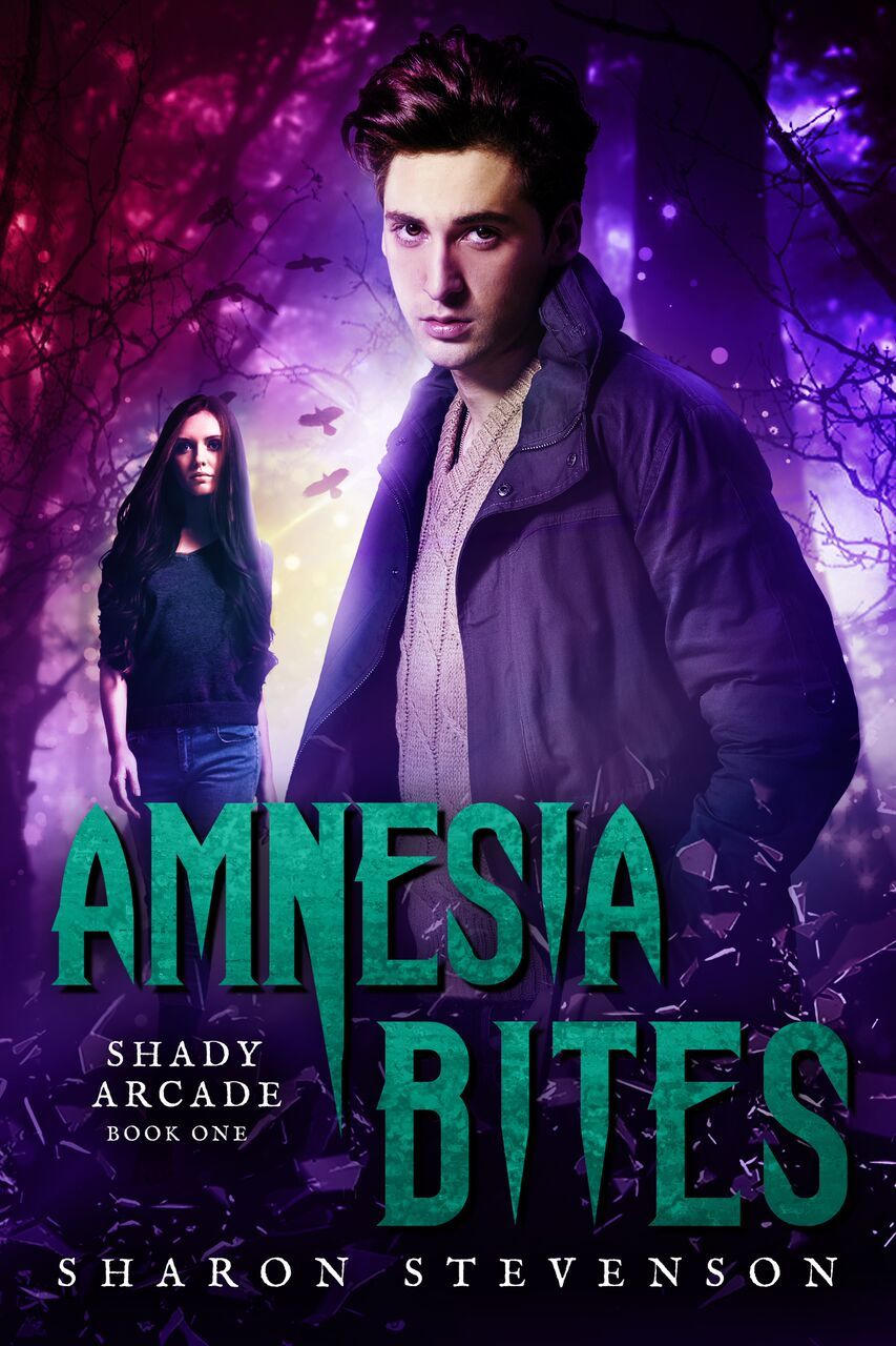 Shady Arcade book cover 1